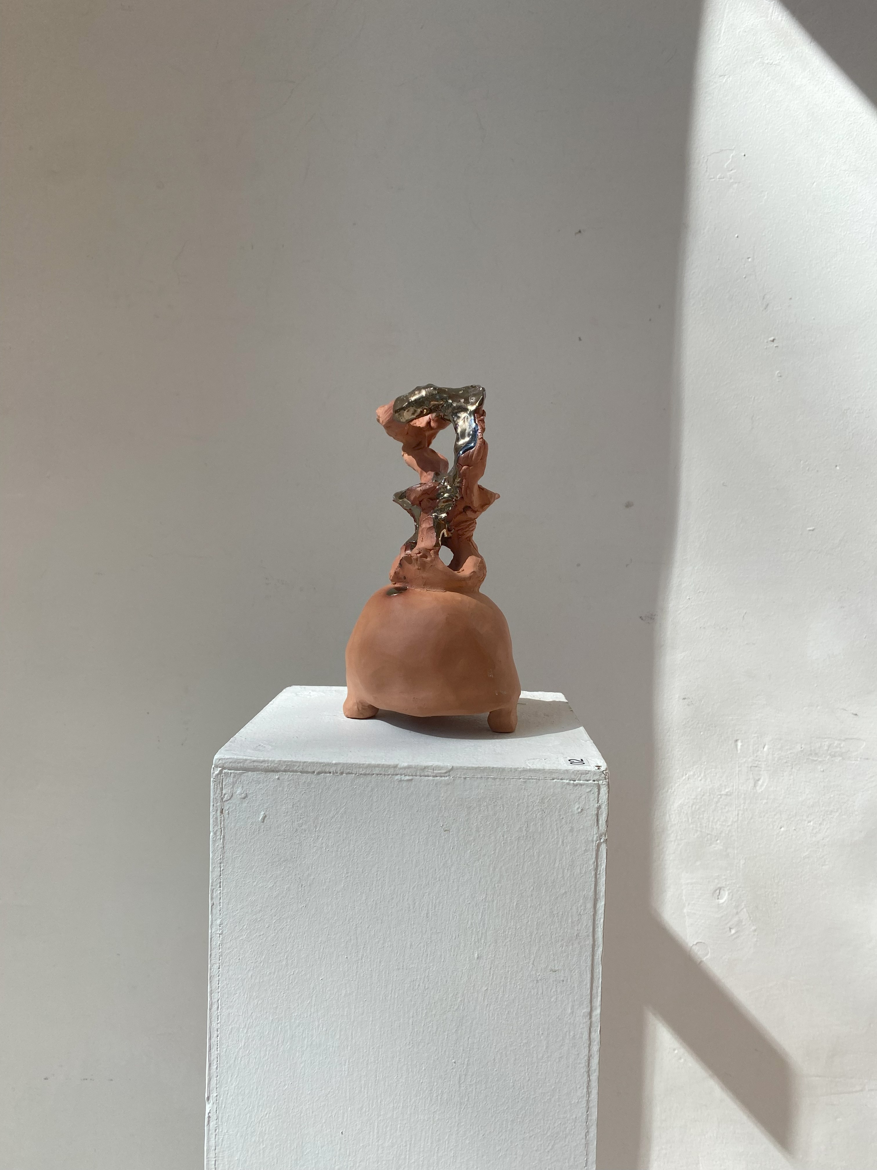 TANGLED FORMS THE SHOP GALLERY GALLERY 2025 – Kate Riley